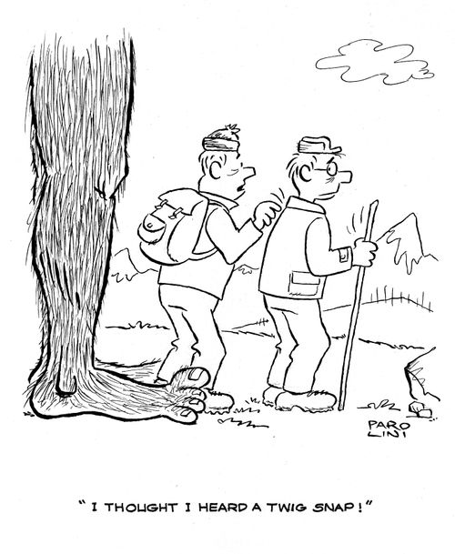 'I thought I heard a twig snap.'