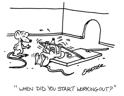 'When did you start working out?'