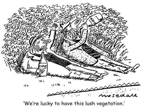 'We're lucky to have this lush vegetation.'