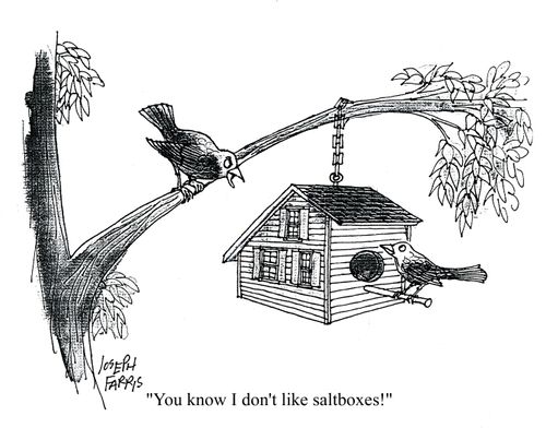 'You know I don't like saltboxes!'