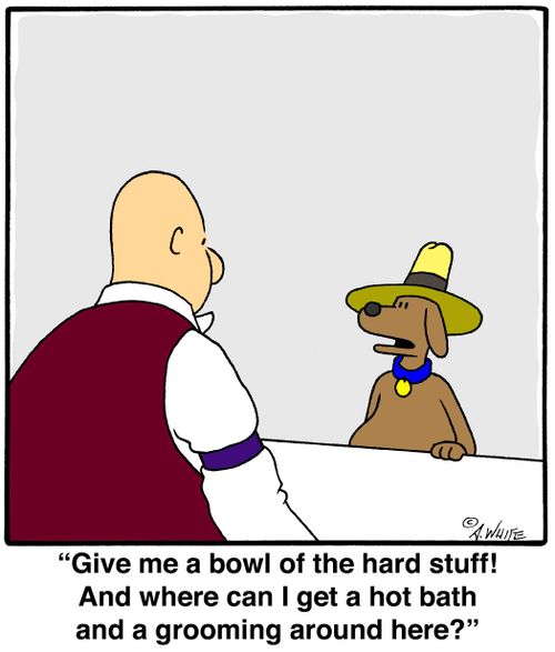 'Give me a bowl of the hard stuff! And where can I get a hot bath and a grooming around here?'