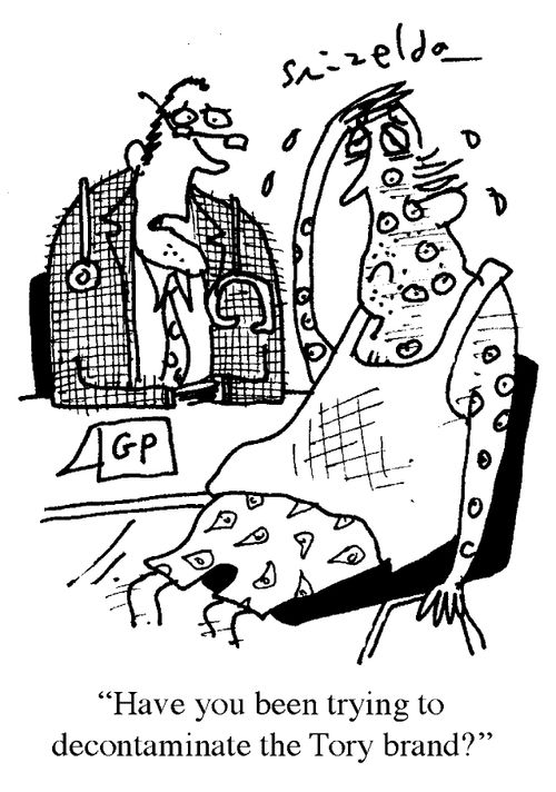 'Have you been trying to decontaminate the Tory brand?'