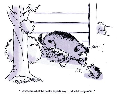 'I don't care what the health experts say...I don't do soy milk.'