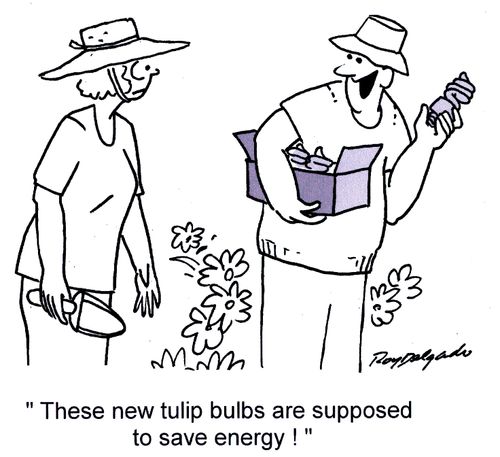 'These new tulip bulbs are supposed to save energy.'