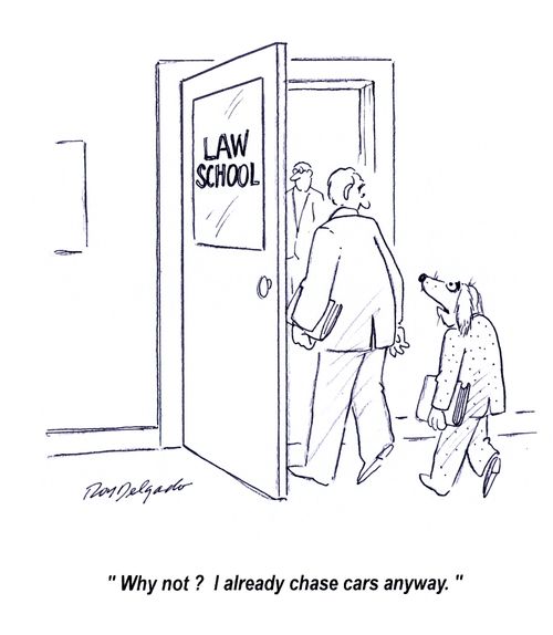 'Why not? I already chase cars anyway.'