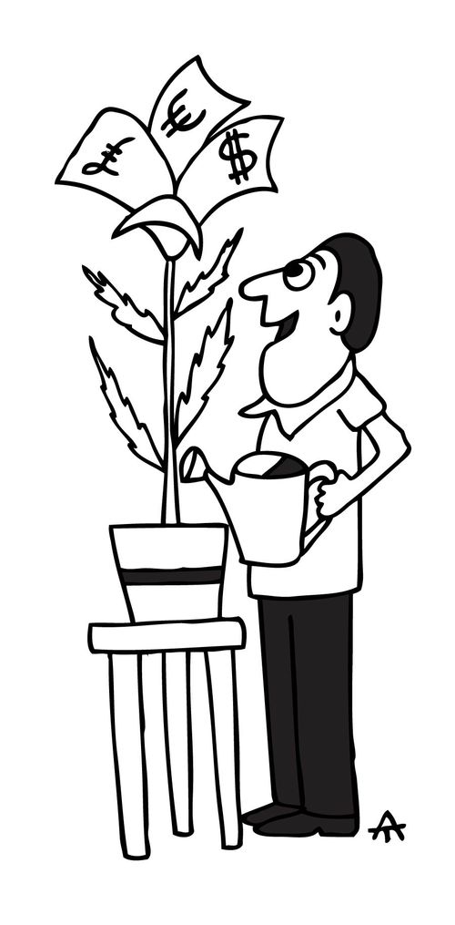 Money Plant.