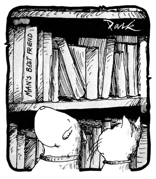 Cat and dog in a library