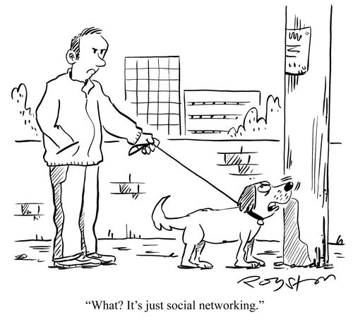 Dog sniffs telegraph pole, telling disapproving owner: 'What? It's just social networking.'