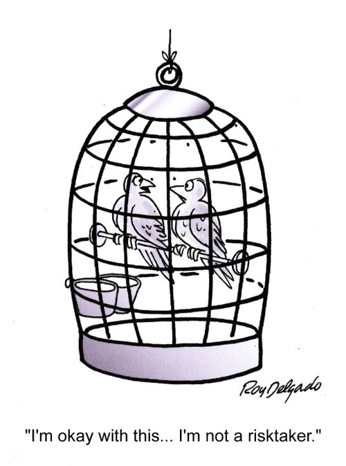 'I'm okay with this... I'm not a risktaker.'