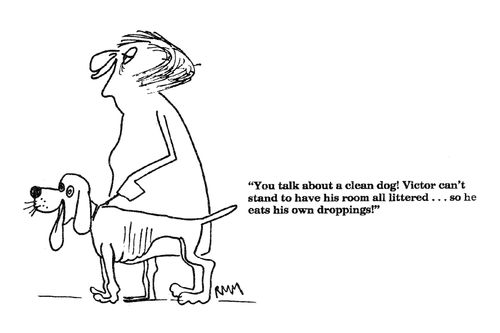 'You talk about a clean dog!'