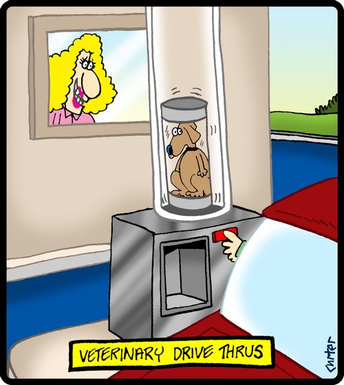 Veterinary drive thrus.