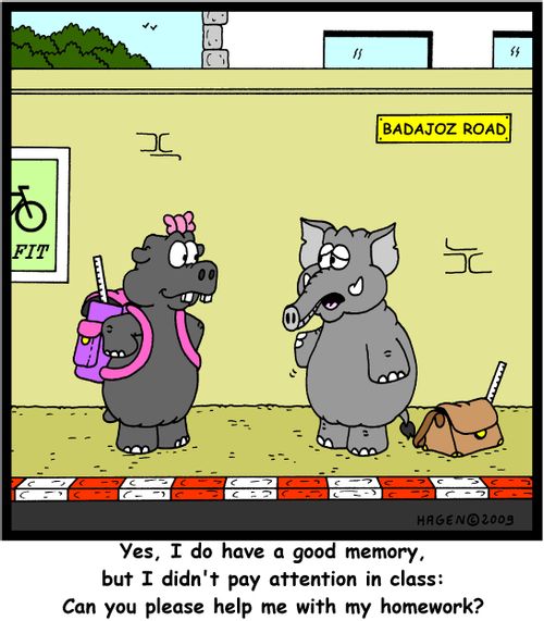 'Yes, I do have a good memory, but I didn't pay attention in class: Can you please help me with my homework?'