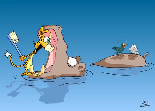 Marmalade the Cheetah brushing hippos teeth.