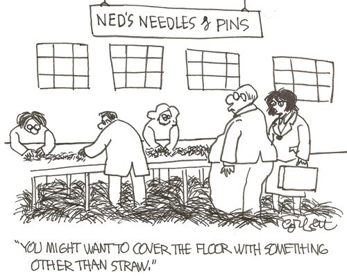 'You might want to cover the floor with something other than straw.' (Needles and Pins company).