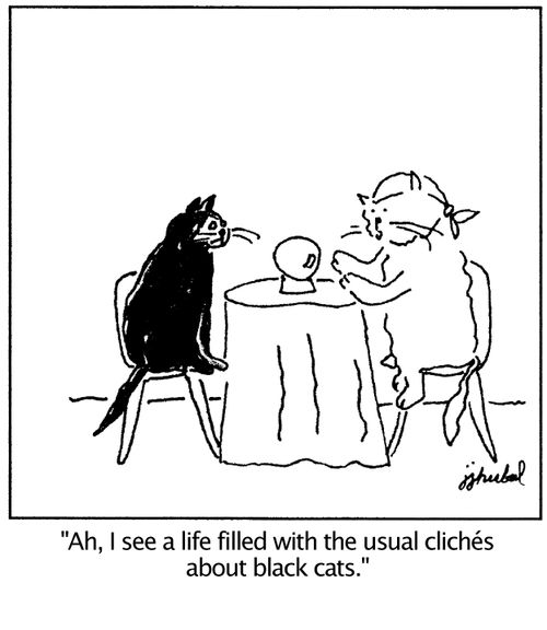 'Ah, I see a life filled with the usual cliches about black cats.'