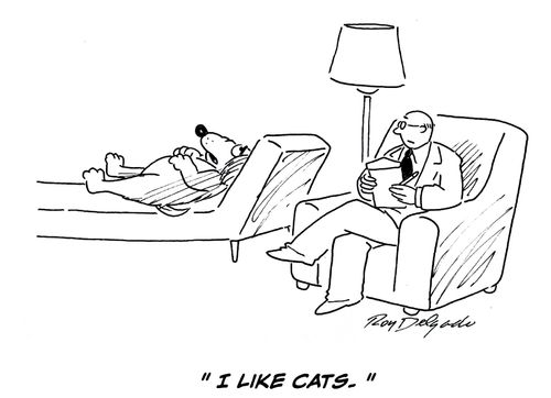 'I like cats.'