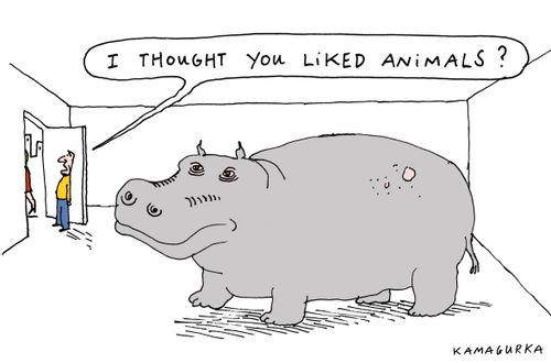 'I thought you liked animals?'