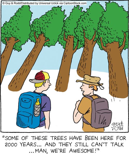 'Some of these trees have been here for 2000 years... and they still can't talk. Man, we're awesome!'