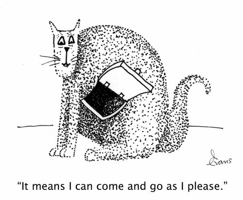 'It means I can come and go as I please.'