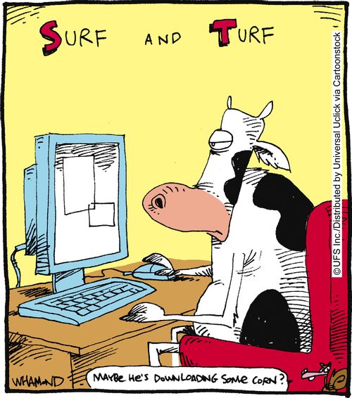 Surf and turf