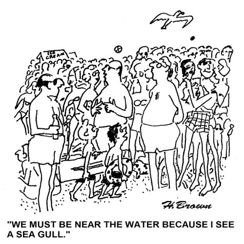 'we must be near the water because I see a sea gull.'