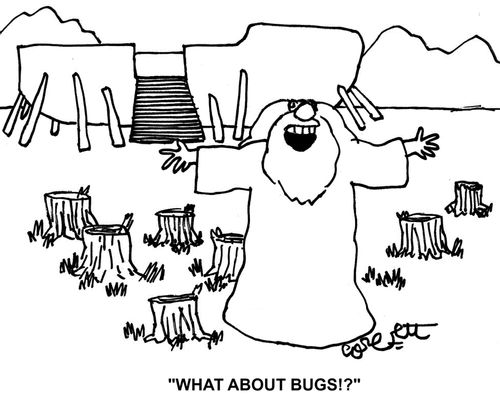 'What about bugs!?'