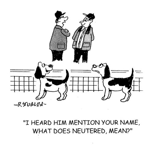 'I heard him mention your name, what does neutered, mean?'