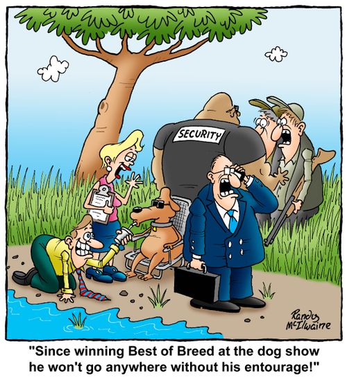 'Since winning Best of Breed at the dog show he won't go anywhere without his entourage!'