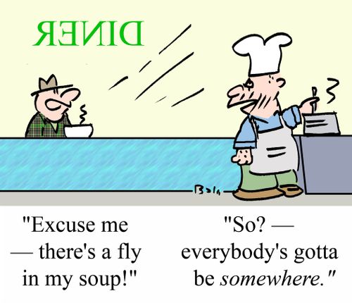 'Excuse me - there's a fly in my soup!'
