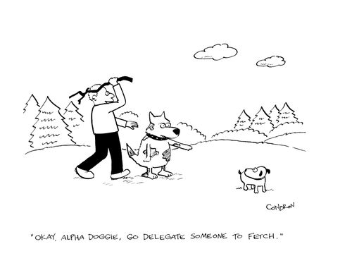 'Okay, alpha doggie, go delegate someone to fetch.'