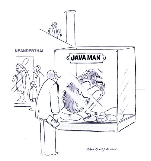 Java Man.