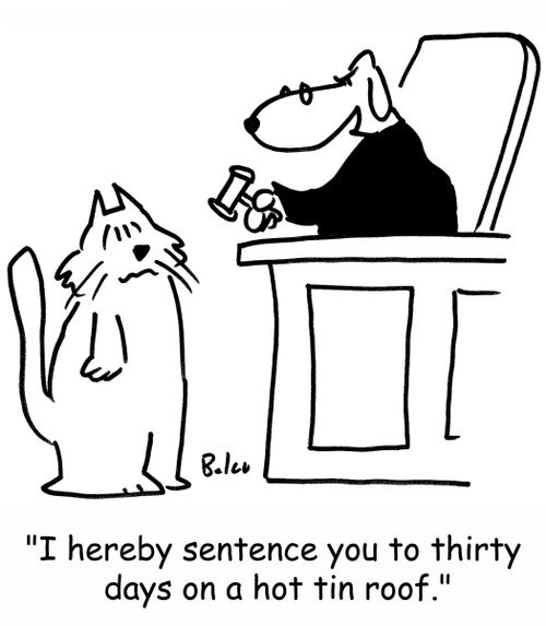 'I hereby sentence you to thirty days on a hot tin roof.'