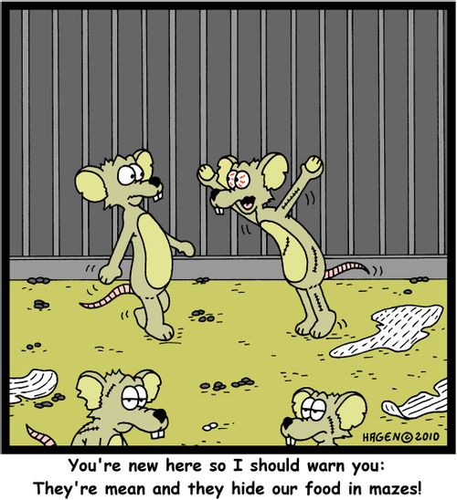 'You're new here so I should warn you: They're mean and they hide our food in mazes!'