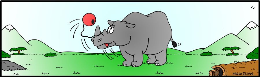 Rhinoceros playing Bilboquet.