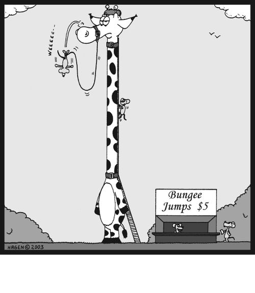 Bungee Jumps: $5