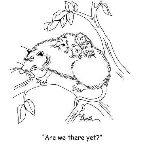 'Are we there yet?
