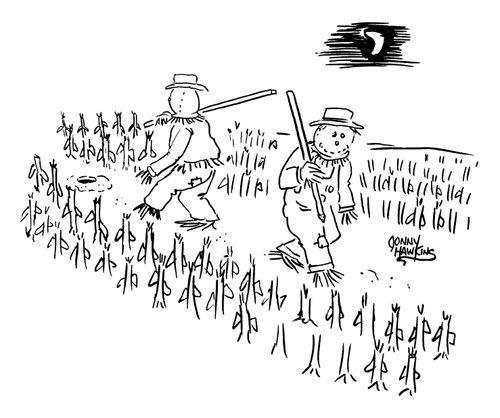 Scarecrows guarding a field