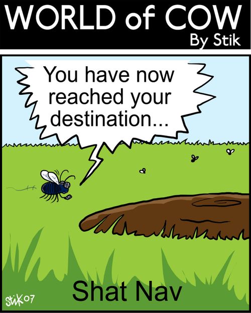 You have reached your destination... Shat Nav