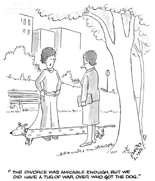 'The divorce was amicable enough, but we did have a tug of war over who got the dog.'