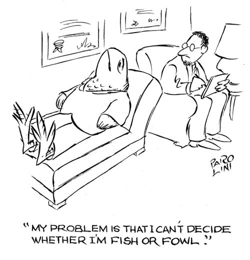'My problem is that I can't decide whether I'm fish or fowl.'