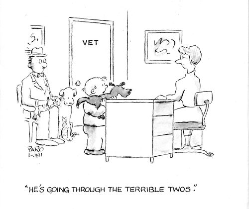 'He's going through the terrible twos.'