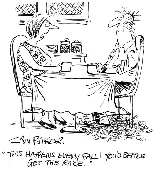 'This happens every fall! You'd better get the rake...'