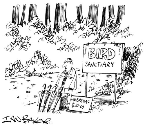 Bird Sanctuary.