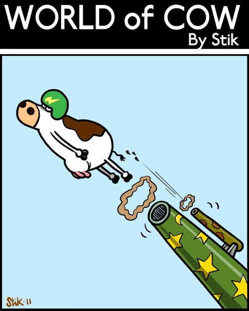 Bovine Cannonball