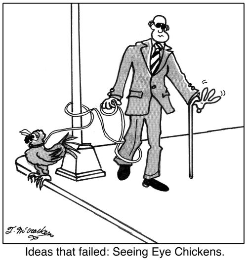 Ideas that failed: Seeing Eye Chickens