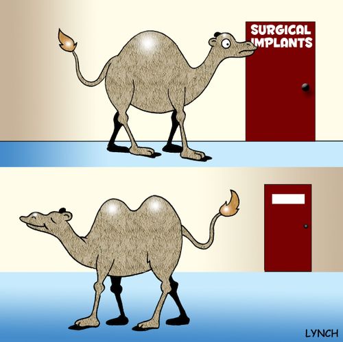 Camel Visits the Plastic Surgeon