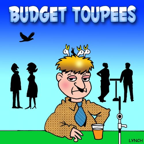 Budget Toupee