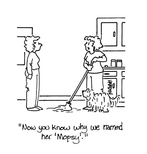 'Now you know why we names her 'Mospsy'.'