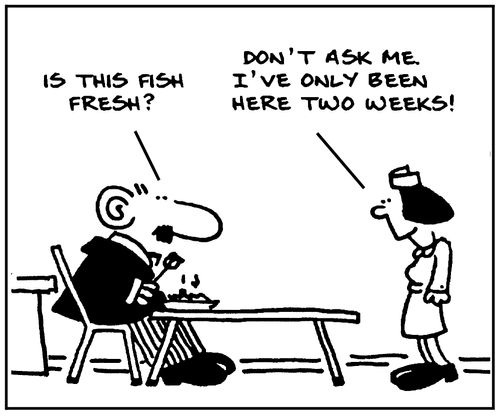 'Is this fish fresh? Don't ask me, I've only been here two weeks.'