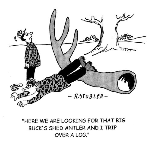 'Here we are looking for that big buck's shed antler and I trip over a log.'